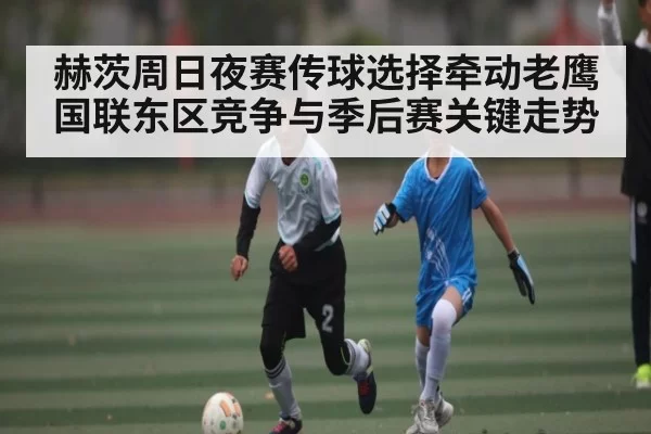 赫茨周日夜赛传球选择牵动老鹰国联东区竞争与季后赛关键走势